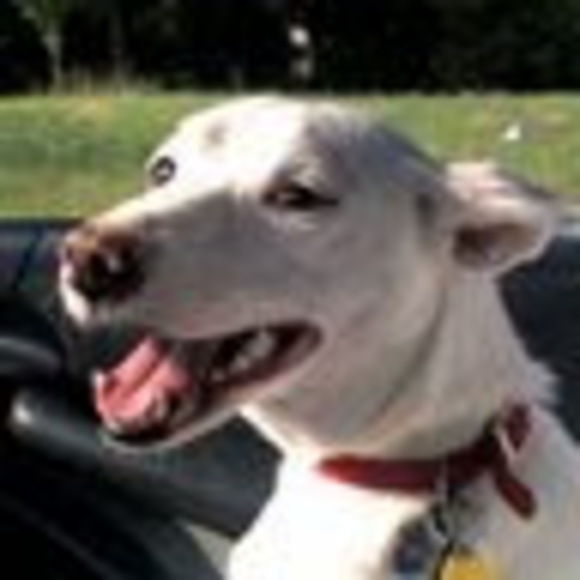 Meet your Posher, Rebekah - Picture 1 of 1